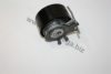 AUTOMEGA 3013070052095R Tensioner Pulley, timing belt